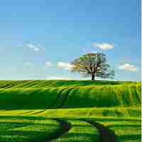 seo大​全﻿加﻿盟​